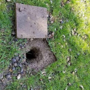 Uncovering History: Unexpected WWII Air Raid Shelter Found Beneath Man’s Driveway