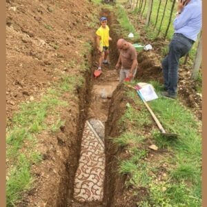 Stunning Mosaic Floor Unearthed in Italy