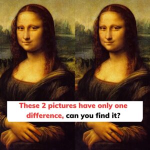 These two pictures have only one difference