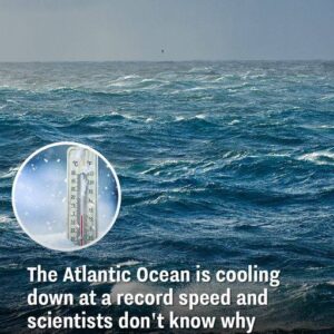 The Atlantic Ocean is cooling down at a record speed and scientists don’t know why