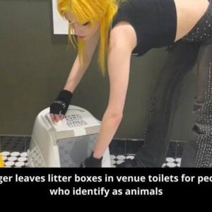 A Unique Move: Artist Promotes Inclusivity with Litter Boxes in Restrooms