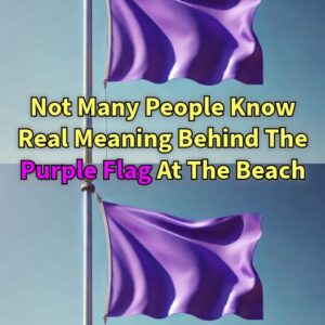 The Meaning of a Purple Flag at the Beach