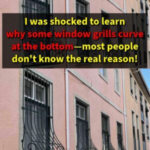 This Is Why Some Window Grills Have a Curve at the Bottom