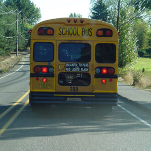 I Saw a Child on the School Bus Hitting the Back Window and Yelling for Help