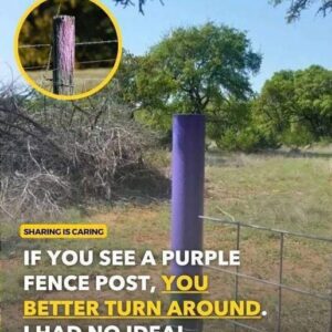 If You See a Painted Purple Fence, This Is What It Means