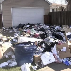 My Neighbor Trashed My Backyard for Revenge, but My Payback Was Even Harsher