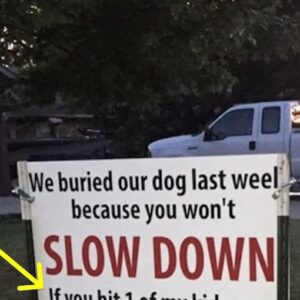 After dog gets hit by car, brutal sign has whole neighborhood talking